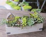多肉植物 寄せ植え セット ( ハウス ) 横長 ウッド BOX ( M サイズ ) 観葉植物
