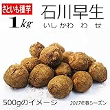 さといも 種芋 里芋 石川早生 （八名丸）1kg サトイモ
