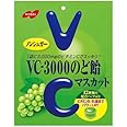 ノーベル VC-3000 のど飴 マスカット 90g×4個