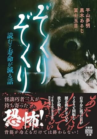 ぞくりぞくり 読むと寿命が減る話 (竹書房怪談文庫, HO-780)