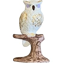 Amazon.co.jp: 鴻月 フクロウ 置物 玄関 かわいい 京焼 清水焼