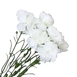 人工植物，SODIAL(R)6ｘシミュレーションカーネーションの花　人工植物　花