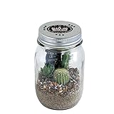 GLASS JAR WITH LED SABOTEN (グラスジャー ウィズ LED サボテン) Sサイズ
