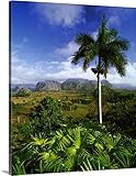 Massimo Ripaniプレミアムシックラップキャンバス壁アート印刷題名キューバ、Pinar Del Rio、ビニャーレス渓谷、Sierra de los ORGANOS、横 11" x 14" 