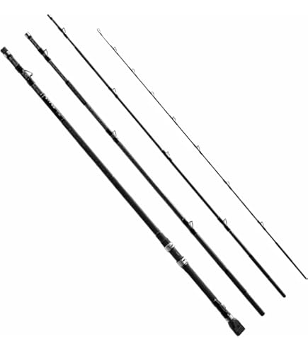 Amazon | Rod.com(ロッドコム) PR石鯛 520MH | Rod.com | 磯竿 