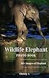Wildlife Elephant Photo Book: 80+ images of Elephant (English Edition)