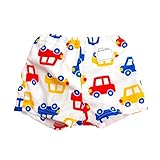 日本製 水遊び用おむつパンツ 男児　水着 　80ｃｍ/90ｃｍ/100ｃｍ （M4502） (80cm)