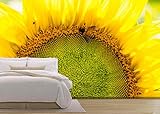 (ウォール26) wall26 自己粘着式壁紙 大型壁面シリーズ 100"x144" WMR-WP-X-C287-100x24x6