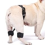 Nikkashop 犬 サポーター 股関節 小型犬 Sサイズ 股関節サポーター 関節サポーター 関節プロテクター 膝サポーター 関節保護 老犬介護 介護用品 シニア 肘当て 床ずれ 腕 肘 老犬 老齢犬