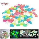bestjunly 夜光石 蓄光石 飾り石 水槽飾り 庭に アクセサリー 彩り石 カラフル アクアリウム 100個入