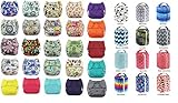 Blueberry Diapers - Berry Pod & Cloth Diaper Bundle - Includes 3 One Size Simplex and 1 Berry Pod (B
