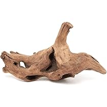 51Nh41nBNOL._AC_UL210_SR210,