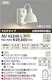 コイズミ照明　アウトドアライト【AU42246L】