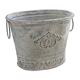 COVENT GARDEN バズ・オーバルポット BU-17