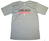NBA公式ライセンスシカゴブルズユースグレーTシャツ( Large 14 – 16 )