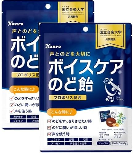 Amazon | カンロ ボイスケア のど飴 70g×4個 | カンロ | ミント