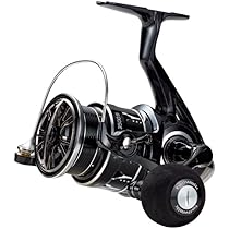 Amazon | テイルウォーク (Tailwalk) DURIZE (デュライズ) 2000S