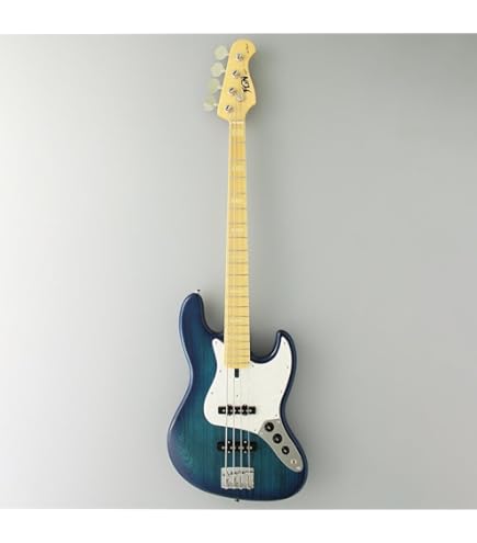 Amazon | Fujigen FGN NJB100MBAH SBB フジゲンジャズベースタイプ
