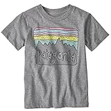 PATAGONIA パタゴニア BABY FITZ ROY SKIES ORGANIC T 3T GLH