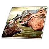 CT _ 54156フローレン動物 – Mama Hippo Kisses Her Baby – タイル 12" ct_54156_4
