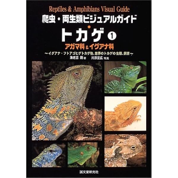 とかげページ デカモミ | 製品情報 | NICECUT 富士元工業