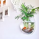 VINSOO 水槽セット ホームデコレーションポットプラント壁掛け吊りバブル魚ボウル透明アクリルボウル魚タンク水族館 金魚鉢 にも (S)