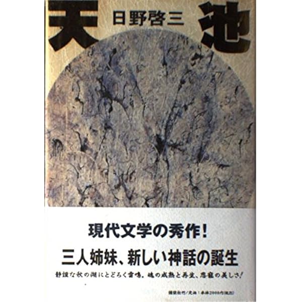 Amazon.co.jp: 光 : 日野 啓三: 本