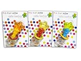 First Steps Cute Star Rattle Teethers Perfect to Soothe Sore Gums by First Steps