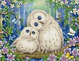 新しい5dダイヤモンド塗装キット、 2匹のかわいいフクロウが寄り添う DIY 手芸キット ダイヤモンドビーズ絵画 キット 人気 手作り芸術品装飾 大人、子供、初心者向け 操作簡単 ビーズアート(ラウンドダイヤモンド 30 × 40 センチメートル)