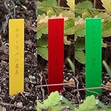 ゴールドカラーラベル1.2cm×9cm 3色（黄・赤・緑）300枚入り ノーブランド品
