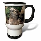 (410ml Travel Mug) - Danita Delimont - Wildlife - Three-toed sloth wildlife, Corcovado NP, Costa Rica - SA22 KSC0137 - Kevin Schafer - Travel Mug