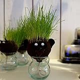 hair LABO（ヘアーラボ）アニマル・パンダ[プレゼントに人気・動物の頭から芝が生える！] ノーブランド品