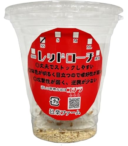 Amazon | （生餌）レッドローチ SSSサイズ 1カップ 爬虫類 大型魚 