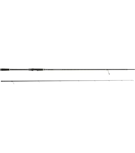 Amazon | アブガルシア(Abu Garcia) ショアジギング ロッド ベイト
