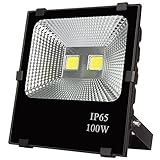 【1年保証】LED投光器 100W ledライト 85-265V 省エネ長寿命 防水 IP65 余裕の5mコード防塵防水仕様 (100W, 昼白色)