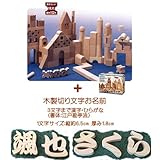 積木　ＨＡＢＡ ブロックス グランドセット＜ハバ社 ドイツ＞ 【正規輸入品】 木製お名前(木製切り文字)付き