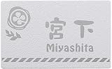 [表札辞典カタログ掲載] ステンレス表札　ピアモ-3W-10　★名入れ文字のみ変更可