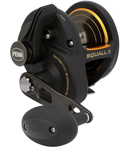 Amazon | ペン (Penn) リール Squall Lever Drag 2 Speed (スコール