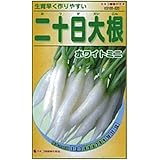 カネコ種苗 園芸・種 KS100シリーズ 二十日大根 ホワイトミニ 野菜100 520