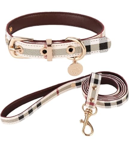 coach dog collar シグネチャー リード&首輪 セット 小型犬 ch144ch155.jpg