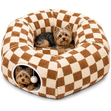 Amazon.co.jp 最新リリース: 犬用ベッド・クッション の新着ランキング