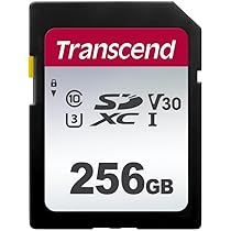Steam deck 256gb + 256メモリカード 使用時間１０時間ほど Steam deck 256gb + 256メモリカード 使用時間10時間ほど
