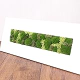A plus floral art インテリア グリーン モスフレーム アレンジ Crop Moss 長方形 白 フェイクグリーン 観葉植物 造花 プリザーブドフラワー 壁掛け