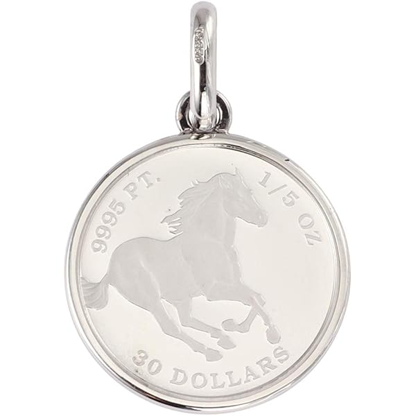 Amazon | [ハッピーグッツショップ] プラチナ ペンダントトップ 1/10oz