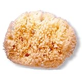 BIG NATURAL SPONGE SUAVINEX by Suavinex