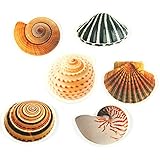 CHUANG 安全滑り止め すべり止めシール　 浴室用 　お風呂周り用 　貝殻 　6枚セット