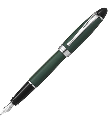 Amazon.co.jp: AURORA アウロラ 万年筆 EF 極細字 イプシロン B10-NE 