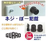 ネジノロクス ネジぼー犯錠