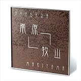福彫　エクセラ　ラスティブラウン　(シルバー文字)　APE-16