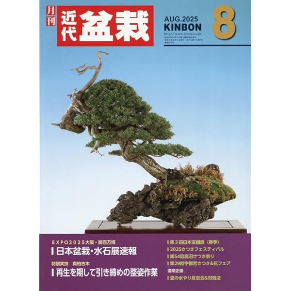 Amazon.co.jp: 盆栽世界 2025年 08 月号 [雑誌] : 本